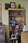 The big bookcase!